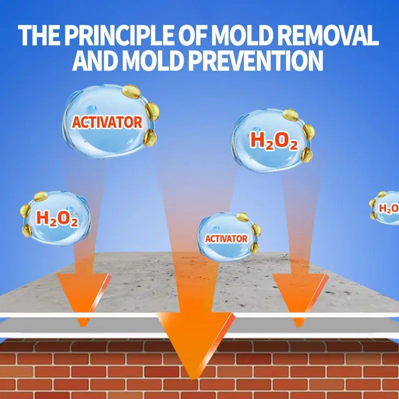 Highly Effective Mould Removal Spray 240ml